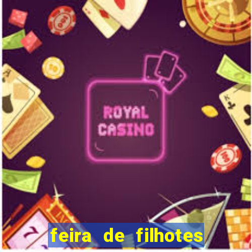 feira de filhotes porto alegre